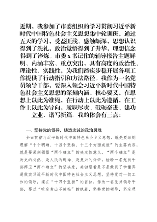 市管领导干部在轮训班集中轮训的学习心得体会