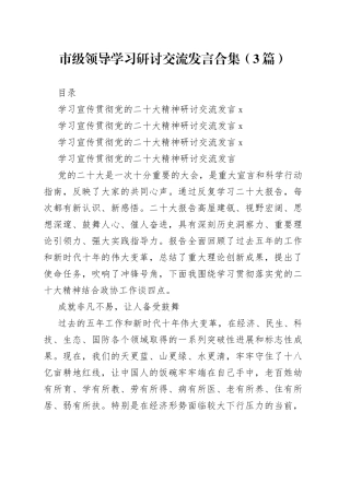 市级领导学习研讨交流发言合集（3篇）