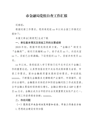 市金融局党组巡察自查工作汇报