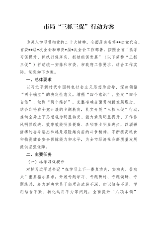 市局“三抓三促”行动方案