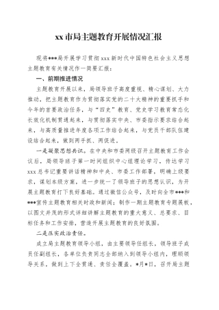 市局主题教育开展情况汇报