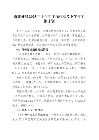 市商务局2023年上半年工作总结及下半年工作计划