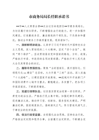 市商务局局长任职承诺书