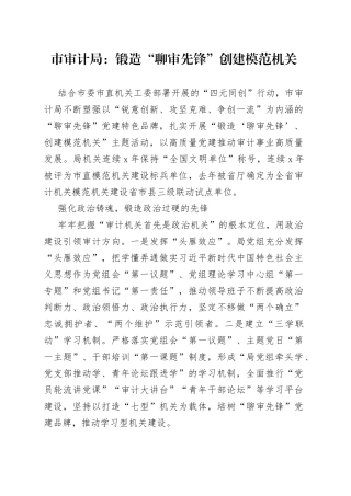 市审计局：锻造“聊审先锋” 创建模范机关（20230531）