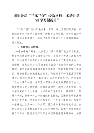 市审计局“三抓三促”经验材料：多措并举“抓学习促提升”