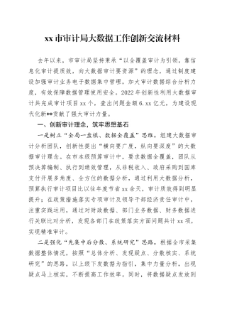 市审计局大数据工作创新交流材料