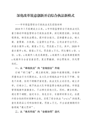 市市场监管综合行政执法支队经验材料