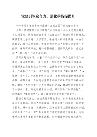 市委办党总支全力推进“三抓三促”行动任务落实