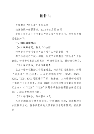 专项整治“回头看”工作总结