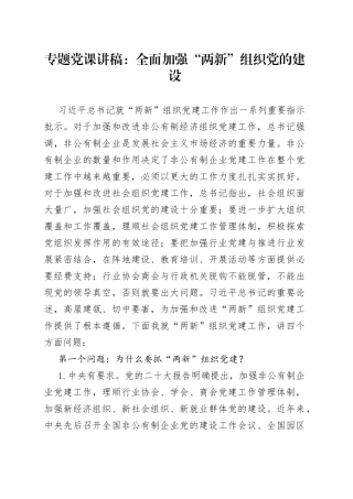 专题党课：全面加强“两新”组织党的建设