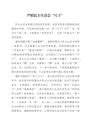 严把民主生活会“尺子”