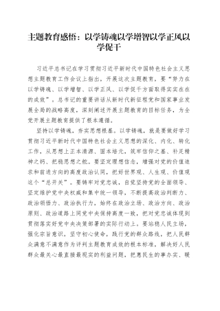 主题教育感悟：以学铸魂以学增智以学正风以学促干
