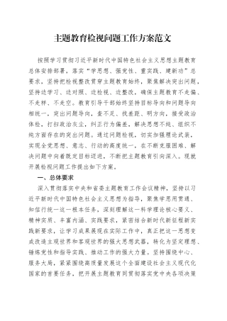 主题教育检视问题工作方案实施