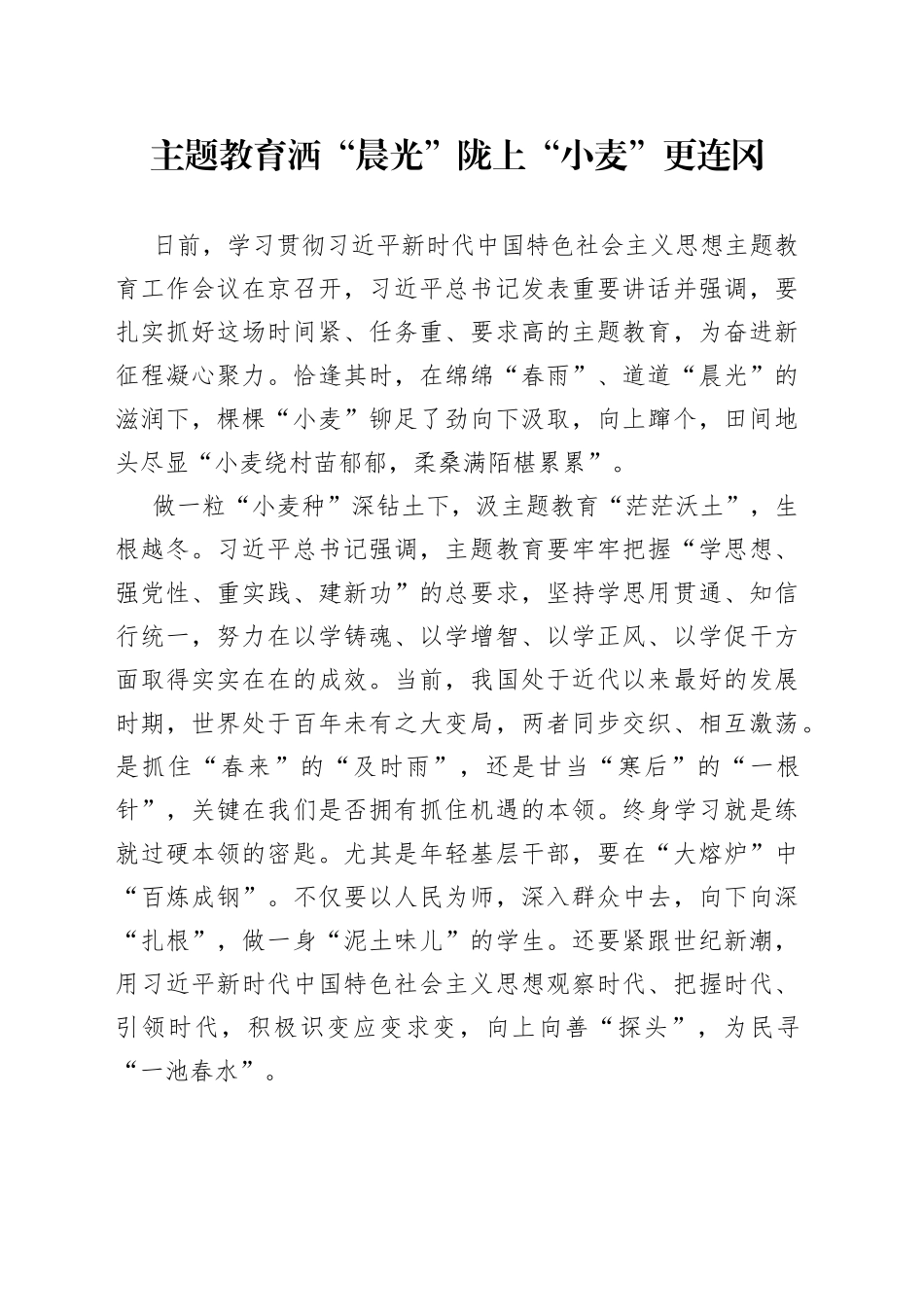 主题教育洒“晨光” 陇上“小麦”更连冈_第1页