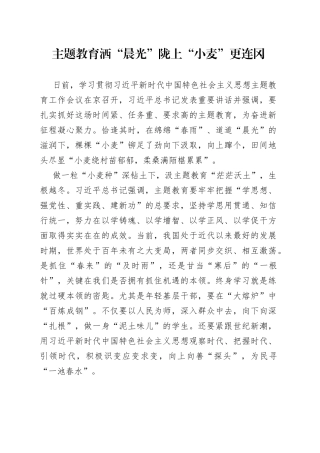 主题教育洒“晨光” 陇上“小麦”更连冈