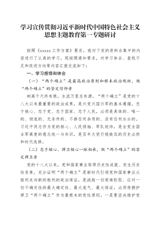 主题教育第一专题研讨材料