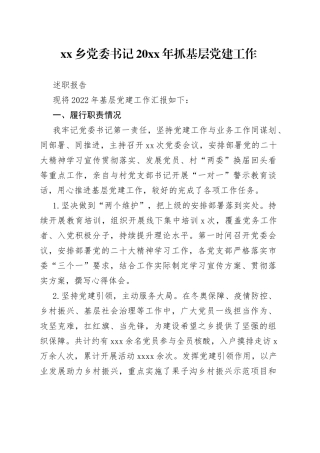 乡党委书记20XX年抓基层党建工作述职报告
