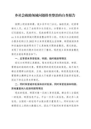 乡社会救助领域问题排查整治的自查报告（20230522）