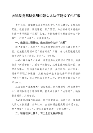 乡镇党委基层党组织带头人队伍建设工作汇报