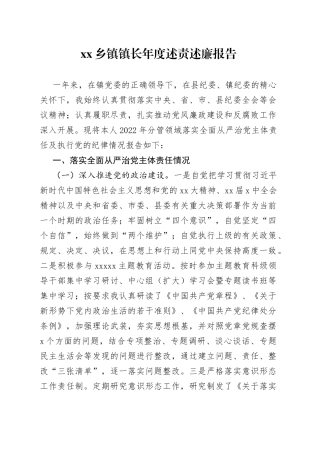 乡镇镇长年度述责述廉报告