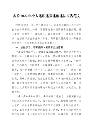 乡长2022年个人述职述责述廉述法报告范文