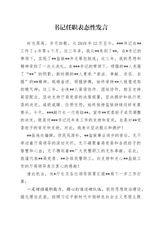 书记任职表态性发言