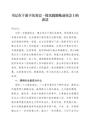 书记在干部下沉基层一线实践锻炼动员会上的讲话