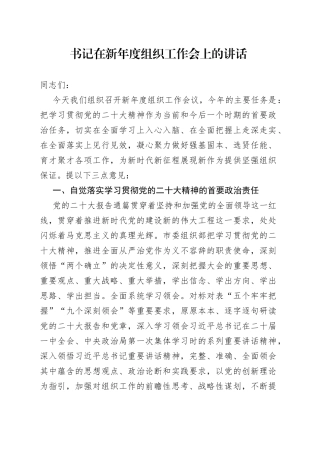 书记在新年度组织工作会上的讲话