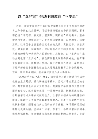 以“真严实”推动主题教育“三步走”