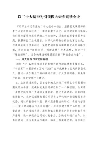 以二十大精神为引领做大做强钢铁企业