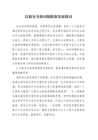 以新安全格局保障新发展格局