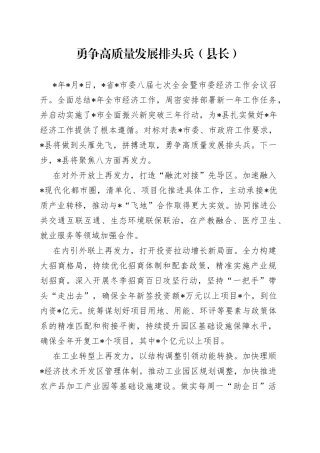 勇争高质量发展排头兵（县长）