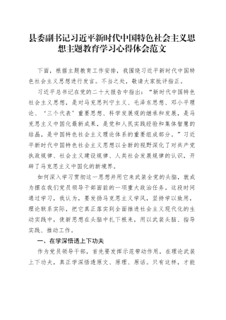 县副书记新时代特色思想主题教育学习心得体会研讨发言材料