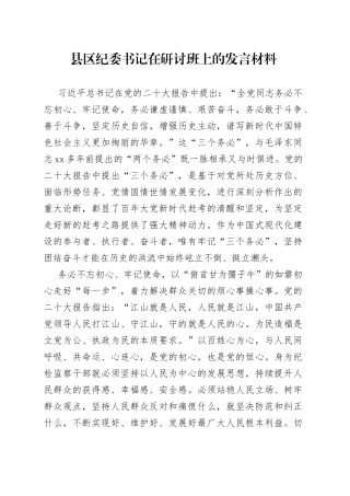 县区纪委书记在研讨班上的发言材料