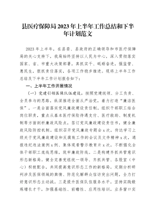 县医疗保障局2023年上半年工作总结和下半年计划（汇报报告）