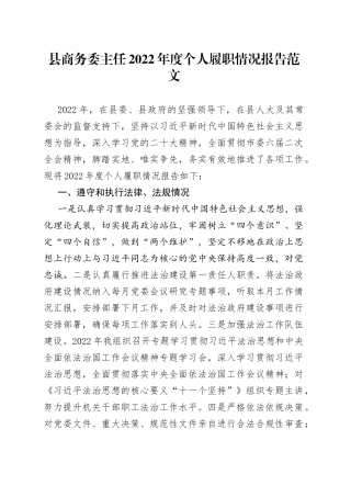 县商务委主任2022年度个人履职情况报告（局，述法述责述廉）