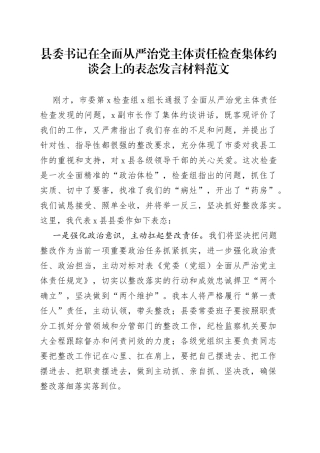 县委书记全面从严治党主体责任检查集体约谈会表态发言