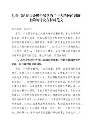 县委书记在县处级干部党的二十大精神轮训班上的研讨发言材料（二十大培训学习心得体会）