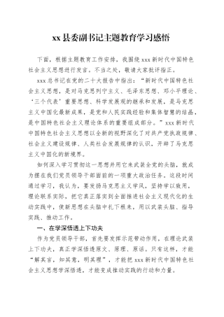 县委副书记主题教育学习感悟