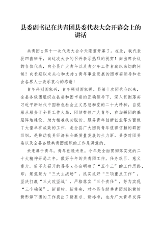 县委副书记在共青团县委代表大会开幕会上的讲话