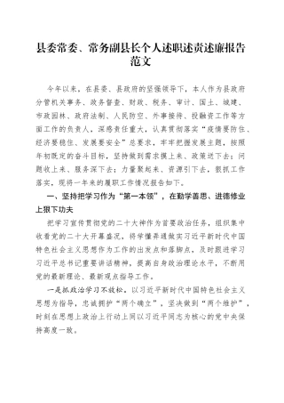 县委常委、常务副县长个人述职述责述廉报告范文（分管机关事务、政务督查、财政、税务、审计、国土、城建、市政、法制、防空、外事、投融资等工作，个人工作总结汇报）