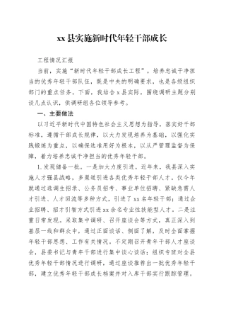 县实施新时代年轻干部成长工程情况汇报