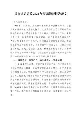 县审计局局长2022年履职报告（个人述责述廉述法报告）