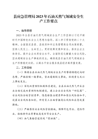 县应急管理局2023年石油天然气领域安全生产工作要点（20230324）