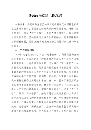 县民政局党建工作总结