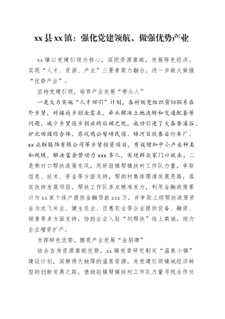 县镇：强化党建领航，做强优势产业（20230505）
