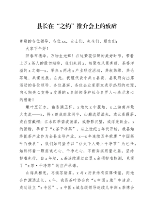 县长在“之约”推介会上的致辞