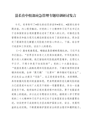县长在中组部应急管理专题培训研讨发言