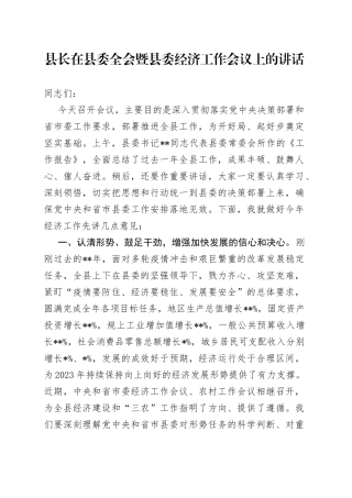 县长在县委全会暨县委经济工作会议上的讲话