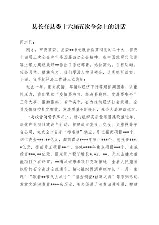 县长在县委十六届五次全会上的讲话